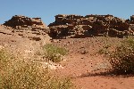 IMG_4894.jpg