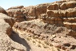 IMG_4902.jpg