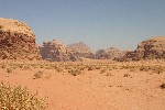 IMG_4911.jpg