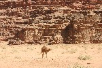 IMG_4913.jpg