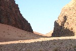 IMG_4917.jpg