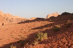 IMG_4920.jpg