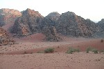 IMG_4923.jpg