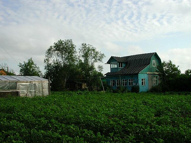 Datchas prs de Milkovo (2)