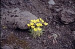 Photo argentique 24x36 (Canon EOS 500N)<br>Dimension: sur demande 3072x2048