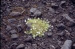 Photo argentique 24x36 (Canon EOS 500N)<br>Dimension: sur demande 3072x2048