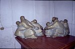 Photo argentique 24x36 (Canon EOS 500N)<br>Dimension: sur demande 3072x2048