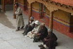 IMG_3222.jpg