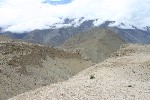 IMG_3228.jpg