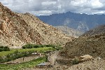 IMG_3238.jpg