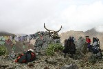 IMG_3243.jpg
