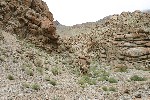 IMG_3251.jpg