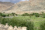 IMG_3258.jpg