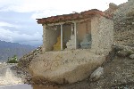IMG_3260.jpg