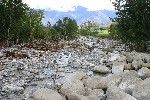 IMG_3285.jpg