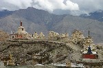 IMG_3289.jpg