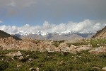 IMG_3355.jpg