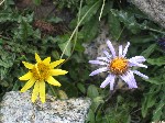 IMG_699.jpg