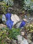IMG_706.jpg