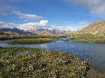 IMG_742.jpg