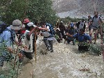 IMG_819.jpg