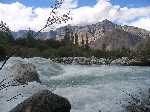 IMG_893.jpg