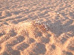 DSCN3777.jpg