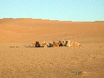 DSCN3782.jpg