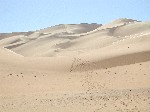 DSCN3800.jpg