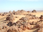 DSCN3840.jpg