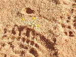 DSCN3954.jpg