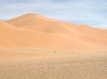 DSCN3977.jpg