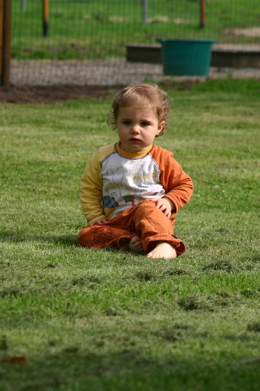 On est bien dans l'herbe