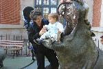 IMG_1774.jpg