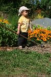 IMG_2643.jpg