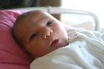 IMG_9924.JPG