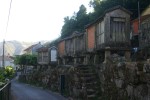 IMG_7346.JPG