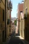 IMG_7466.JPG