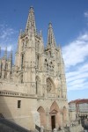 IMG_7544.JPG