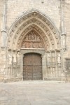 IMG_7564.JPG