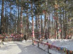IMG_3071.JPG