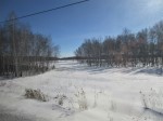 IMG_3111a.JPG