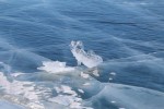 IMG_3420.JPG