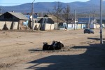 IMG_3453.JPG