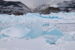 IMG_3543.JPG