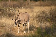 IMG_2618.jpg