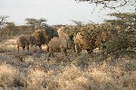 IMG_2623.jpg