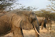 IMG_2624.jpg