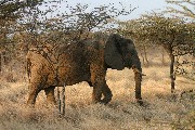 IMG_2627.jpg