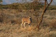 IMG_2630.jpg